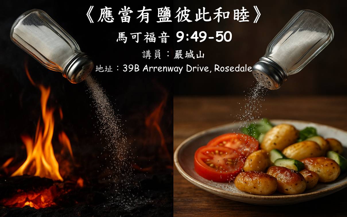 應當有鹽彼此和睦